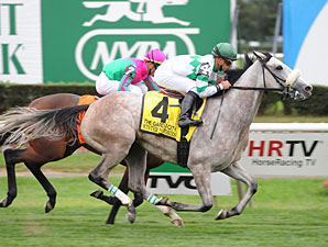 Winter Memories wins the 2011 Garden City.