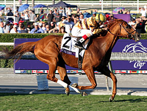 Wise Dan in the Breeders' Cup Mile.