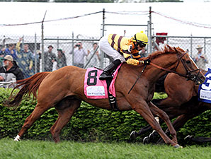 Wise Dan running in the Woodford Reserve at Churchill Downs.