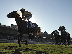 Wise Dan in the Breeders' Cup Mile.