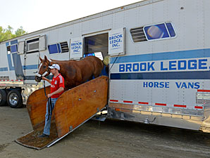 Wise Dan arrives at the 2012 Breeders' Cup.
