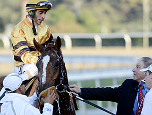 Wise Dan wins the 2012 Breeders' Cup Mile.