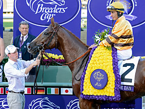 Wise Dan wins the 2012 Breeders' Cup Mile.