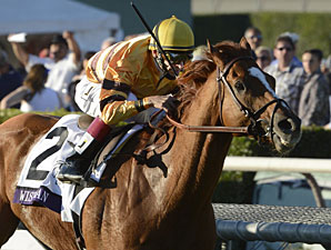 Wise Dan wins the 2012 Breeders' Cup Mile.