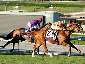 Wise Dan wins the 2012 Breeders' Cup Mile.