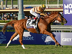 Wise Dan wins the 2012 Breeders' Cup Mile.