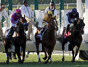 Wise Dan wins the 2012 Breeders' Cup Mile.