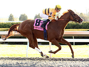 Wise Dan wins the 2011 Fayette Stakes.