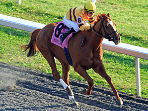 Wise Dan wins the 2011 Fayette Stakes.