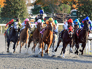 Wise Dan wins the 2011 Fayette Stakes.