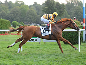 Wise Dan wins the 2012 Fourstardave.
