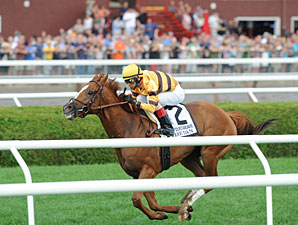 Wise Dan wins the 2012 Fourstardave.