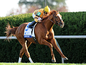 Wise Dan wins the 2012 Shadwell Turf Mile.