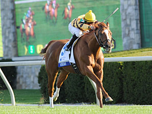Wise Dan wins the 2012 Shadwell Turf Mile.