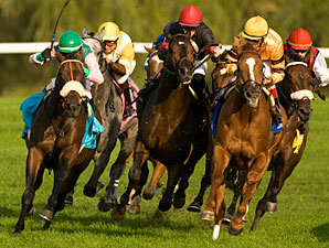 Wise Dan wins the 2012 Woodbine Mile.