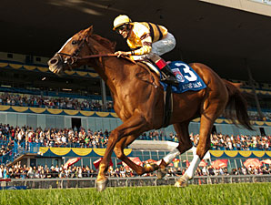 Wise Dan wins the 2012 Woodbine Mile.