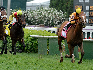 Wise Dan wins the 2013 Woodford Reserve.
