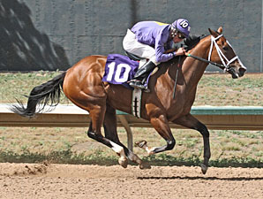 Wizardry wins the Molly Brown Stakes.