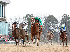 Work All Week wins the 2014 Hot Springs Stakes.