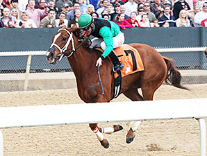 Work All Week wins the 2014 Hot Springs Stakes.