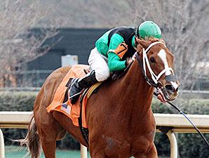 Work All Week wins the 2014 Hot Springs Stakes.