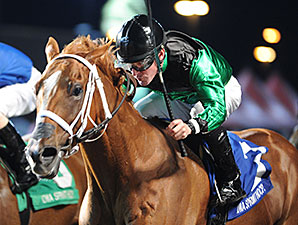 Work All Week wins the 2014 Iowa Sprint Handicap.