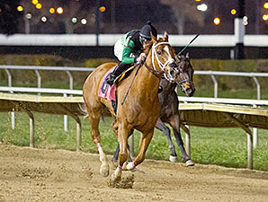 Work All Week wins the 2013 Lightning Jet Handcap.