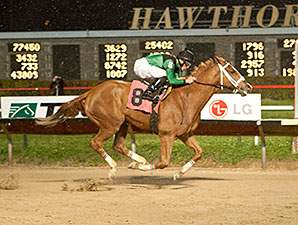 Work All Week wins the 2013 Lightning Jet Handicap.