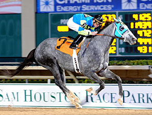 Worldventurer wins the 2013 Groovy Stakes.