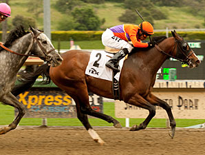 Worth Repeating wins the 2011 Tokyo City Cup.