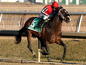 Yawanna Twist in the General George Stakes.