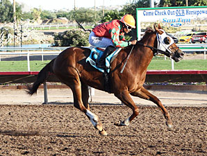 Youbestshewon wins the 2012 ATBA Fall Sales Stakes - Fillies Division.