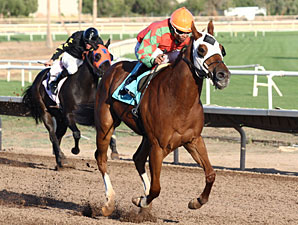 Youbestshewon wins the 2012 ATBA Fall Sales Stakes - Fillies Division.