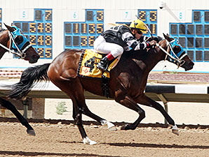 You've Been Duped wins the Totah Stakes.
