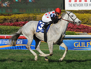 Za Approval wins the 2013 Appleton.