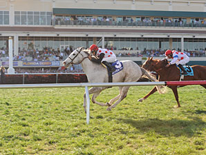 Za Approval wins the 2013 Appleton.