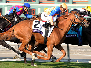 Zagora wins the 2012 Breeders' Cup Filly & Mare Turf.