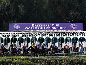 Zagora wins the 2012 Breeders' Cup Filly & Mare Turf.