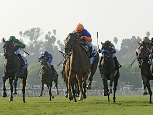 Zagora wins the 2012 Breeders' Cup Filly & Mare Turf.