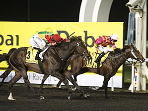 Zain Shamardal wins the 2014 Dubai Duty Free Finest Surprise Handicap.