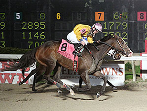 Zara Lauren wins the 2015 LA Bred Premier Night Ladies Starter Stakes.