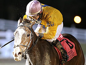 Zara Lauren wins the 2015 LA Bred Premier Night Ladies Starter Stakes.