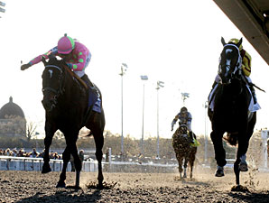 Zardana wins the 2010 New Orleans Ladies.
