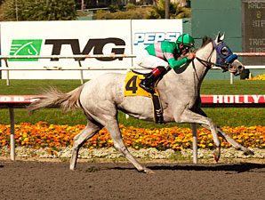 Zazu wins the 2011 Hollywood Oaks.