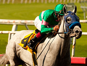 Zazu wins the 2011 Hollywood Oaks.