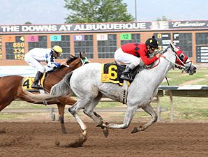 Zenon's Star wins the 2012 Don Juan de Onate.