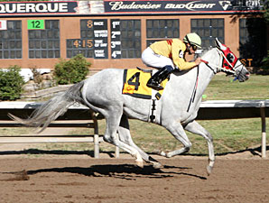 Zenon's Star wins the 2012 New Mexico State Fair Thoroughbred Breeders Stakes..