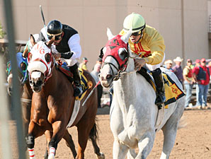 Zenon's Star wins the 2012 New Mexico State Fair Thoroughbred Breeders Stakes..