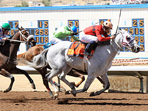 Zenon's Star wins the 2012 Dine.