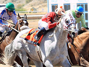 Zenon's Star wins the 2012 Dine.